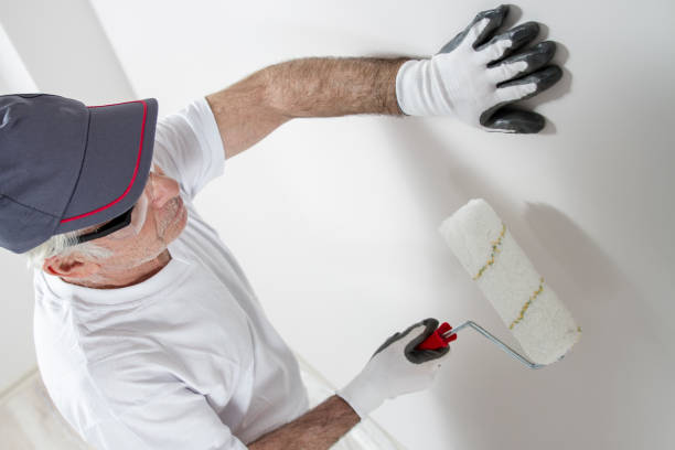 Best Post-Construction Mold Inspection  in Conesus Lake, NY