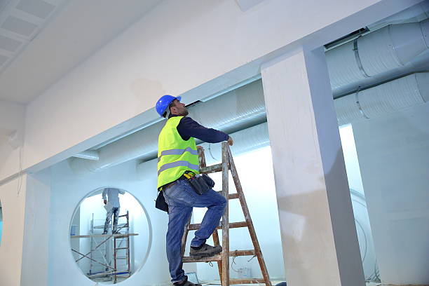 Mold Odor Removal Services in Conesus Lake, NY